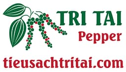 TIÊU SẠCH TRÍ TÀI